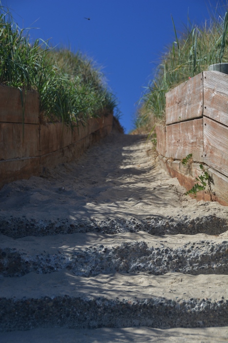 trail to the beach at Horsfalls